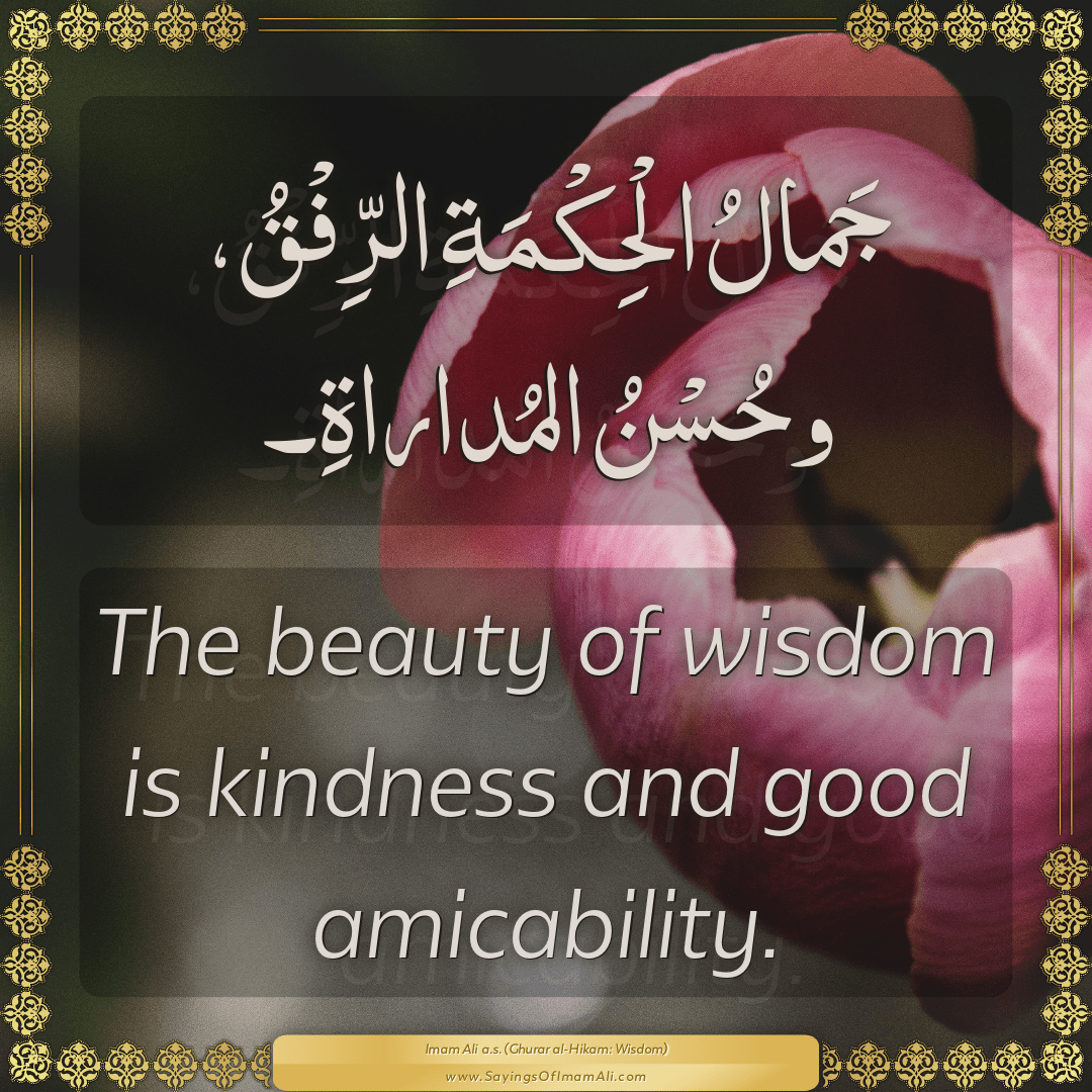 The beauty of wisdom is kindness and good amicability.